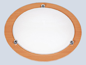 Venge Elliptical Plafond Lighting