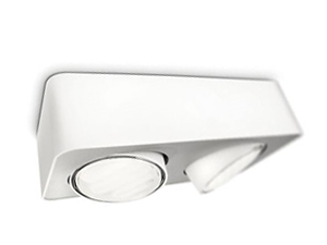 White 2-Ceiling Fixture